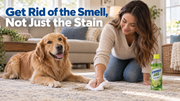 How to Safely Remove Pet Urine Stains and Odors for Good