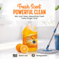 ADVANAGE 20X Degreaser (Citrus) Gallons