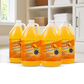 ADVANAGE 20X (Citrus) One Case = 4 Gallons