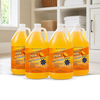 ADVANAGE 20X (Citrus) One Case = 4 Gallons